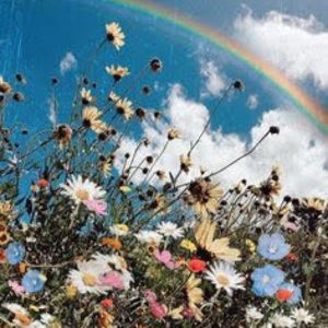 Meet your Posher, Eden